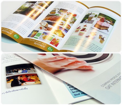 Company Profile / โปรไฟล์นำเสนองาน 